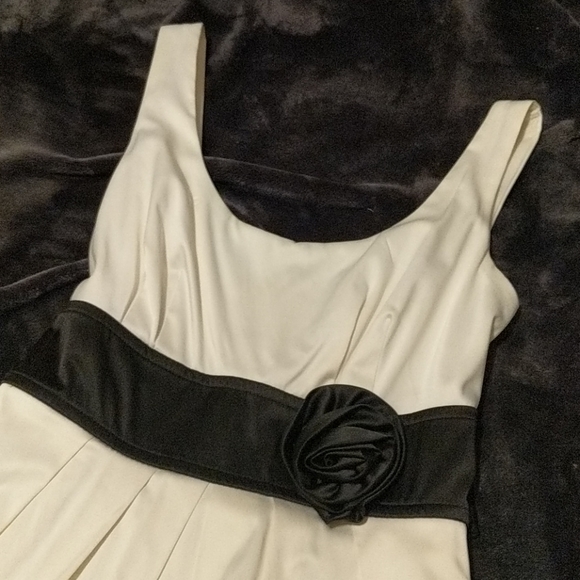 Black Rose and Ivory Social Dress - Picture 2 of 7